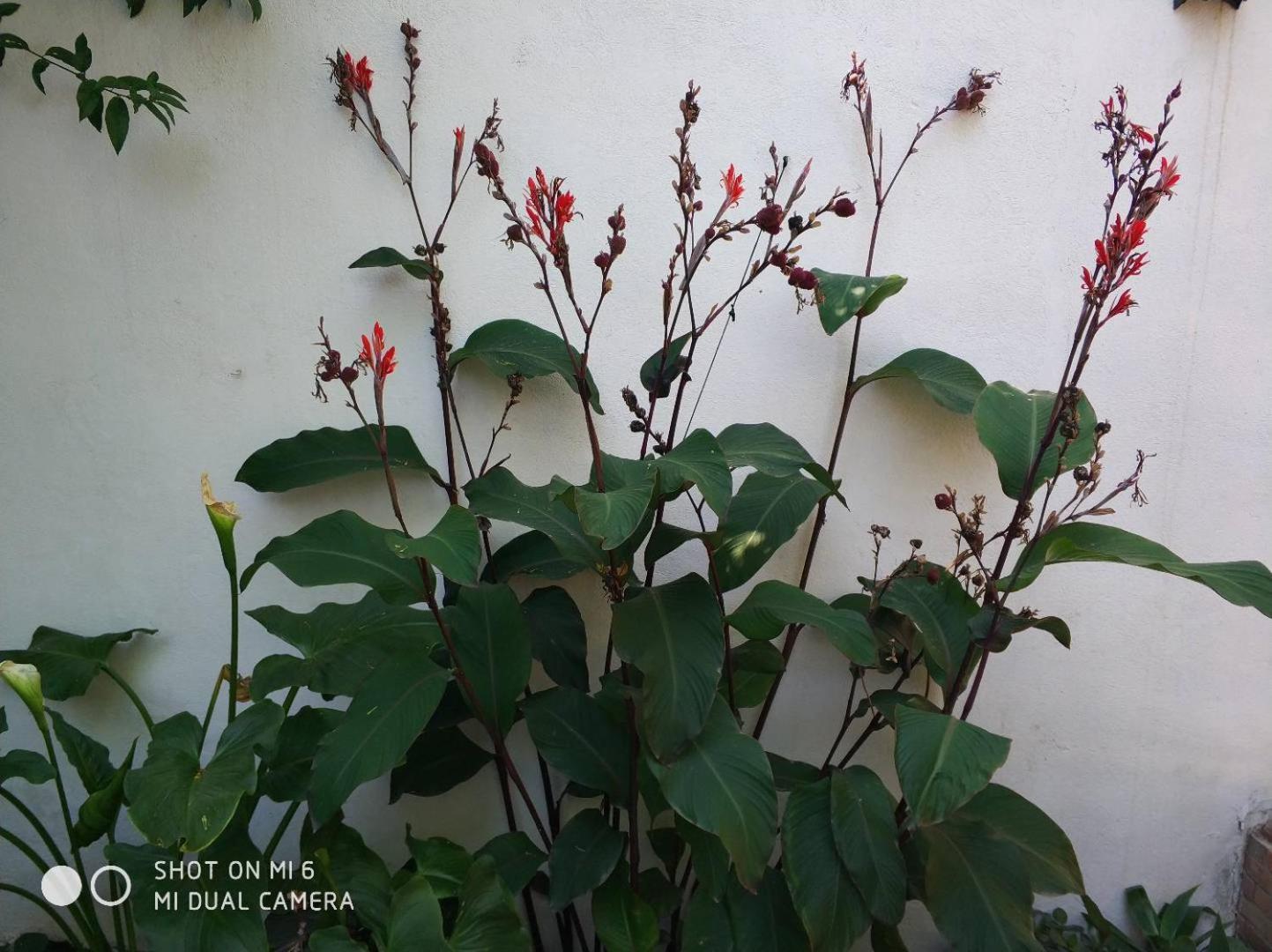 Apartment Alacas Sevilla ภายนอก รูปภาพ